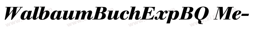 WalbaumBuchExpBQ Me字体转换